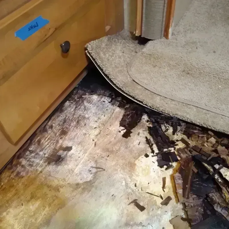 Wood Floor Water Damage in South Miami, FL